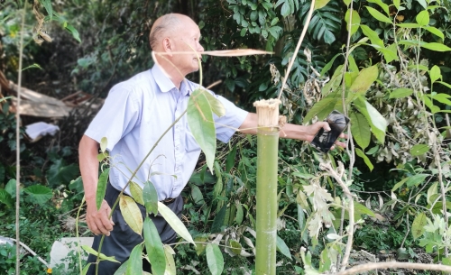 重阳登“低”一一恩平那吉九旬山乡民间老中医重阳为公众义诊